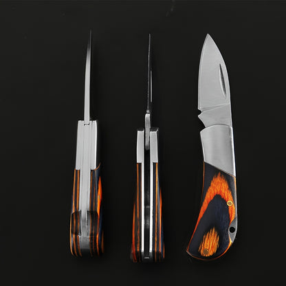 2pcs Mini Stainless Pocket Knife - Compact & Durable - Perfect for Outdoor Adventures & Everyday Use - Pocket folding knife with Keychain Pendant for Precision Cutting -Premium Quality